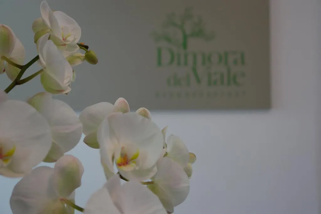 阿格里真托Dimora Del Viale住宿加早餐旅馆 意大利